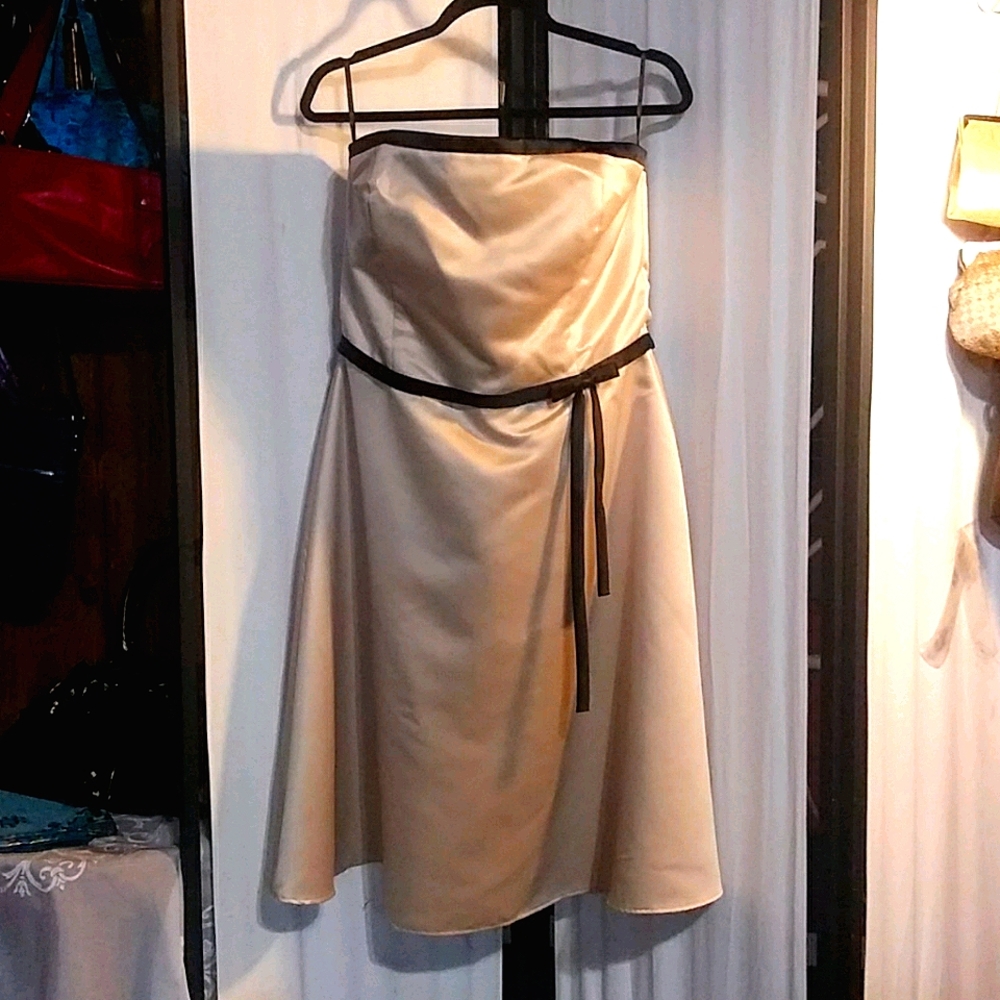 Scott McClintock strapless satin dress
